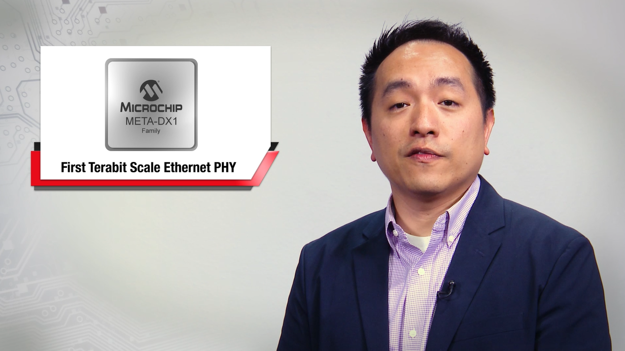 META-DX1系列：具有MACsec和FlexE的太比特级以太网PHY