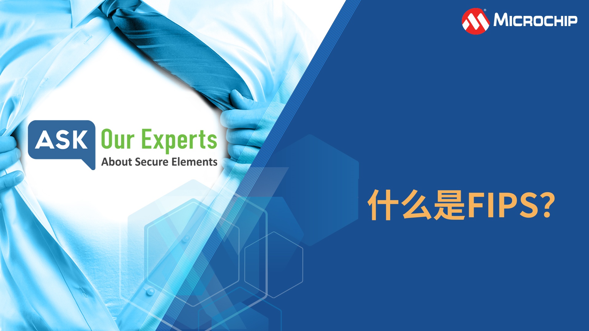 AOE | 安全元件（2/8）：什么是FIPS？
