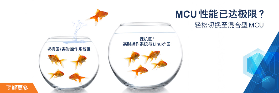 HybridMCU