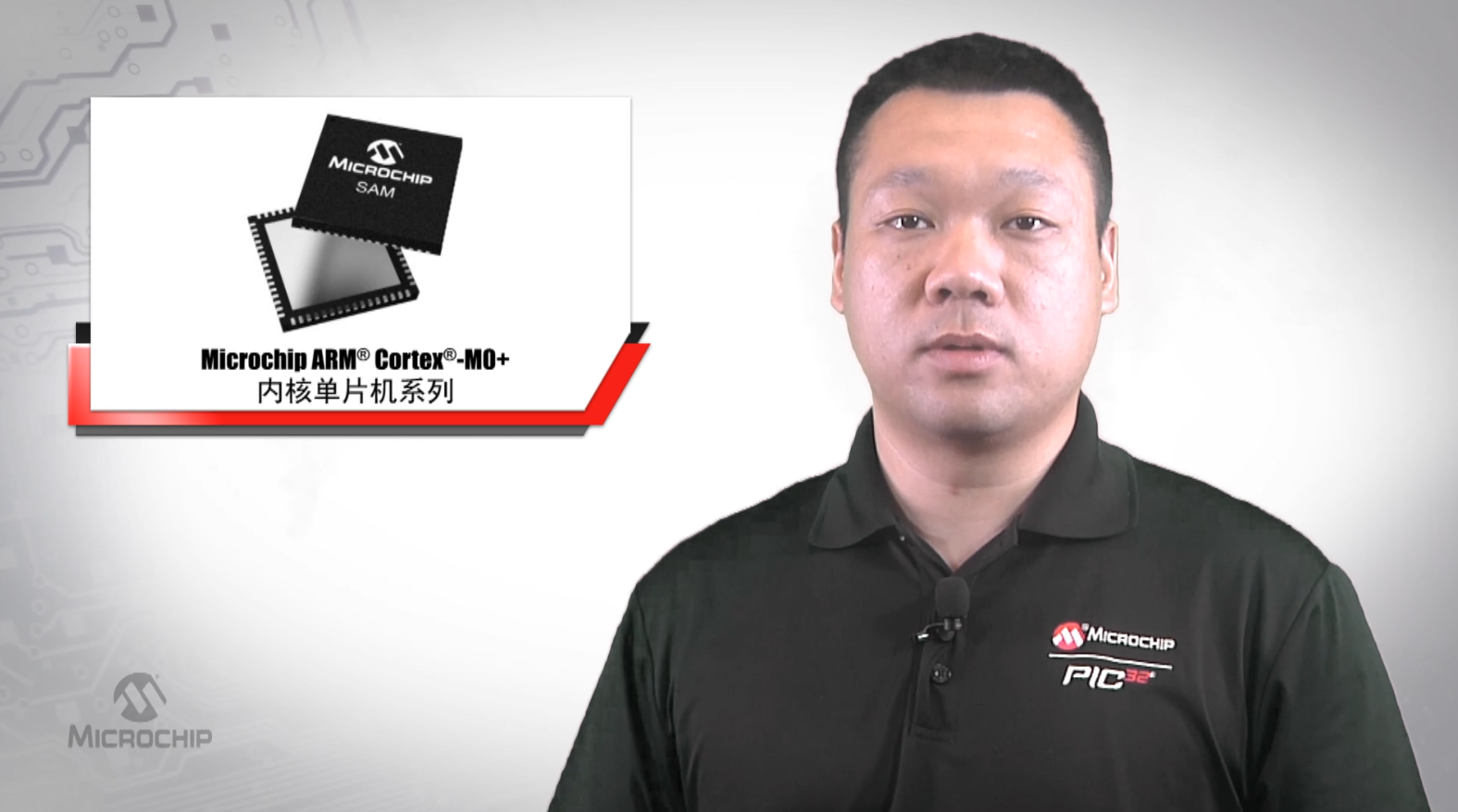 Microchip ARM® Cortex® -M0+ 内核单片机系列